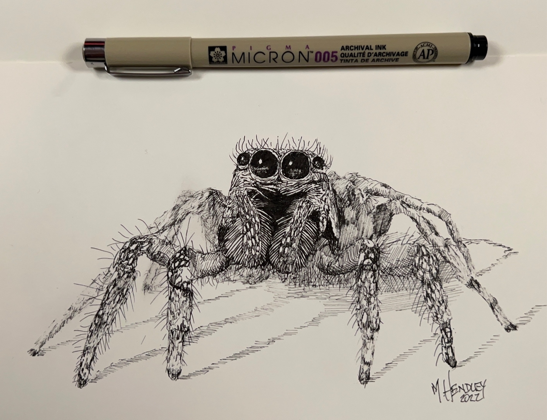 Spider Drawing & Sketches for Kids - Kids Art & Craft